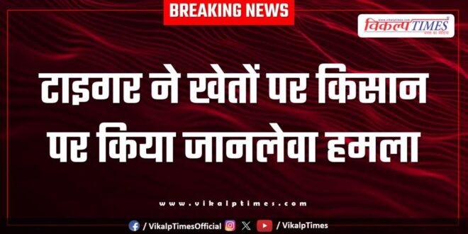 Tiger farmer Agriculture Ranthambore National Park Sawai Madhopur News 18 Aug 25