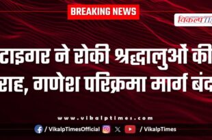 Tiger stops devotees from traveling, Ganesh Parikrama route closed in Sawai Madhopur