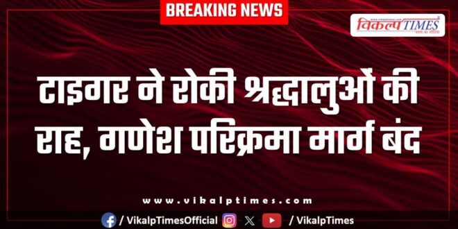 Tiger stops devotees from traveling, Ganesh Parikrama route closed in Sawai Madhopur