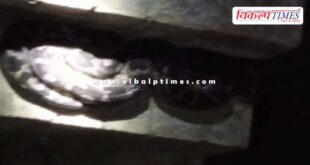 A 10-foot-long python entered a house in khandar Sawai Madhopur