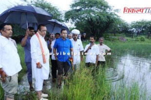 Animal Husbandry Minister inspected the crop damage in Pali