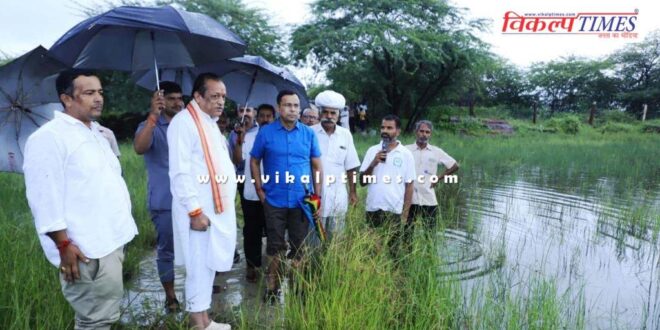 Animal Husbandry Minister inspected the crop damage in Pali