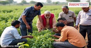 Assessing the crop damage, farmers will be given assistance in jaipur