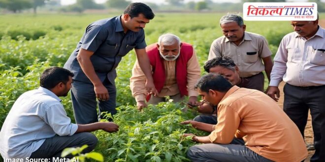 Assessing the crop damage, farmers will be given assistance in jaipur