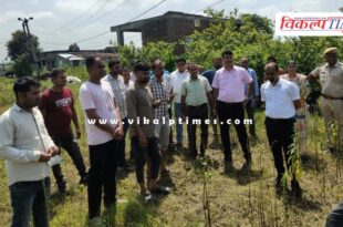 Sawai Madhopur Collector went to the fields and gave online Girdawari training to the farmers