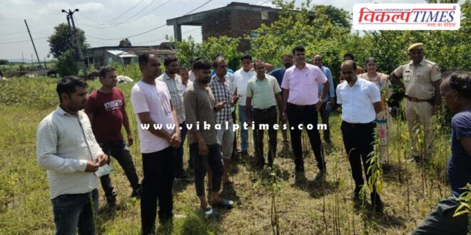 Sawai Madhopur Collector went to the fields and gave online Girdawari training to the farmers