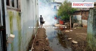 The medical department is carrying out anti-larva activities to control mosquitoes in sawai madhopur