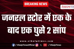 Two snakes entered the general store one after the other in kota