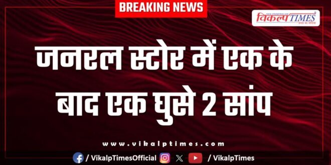 Two snakes entered the general store one after the other in kota