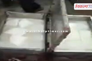 paneer made from oil-milk powder destroyed in jaipur