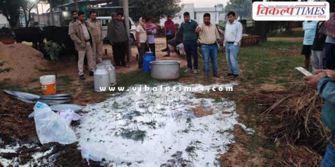 500 kg of adulterated milk and mawa destroyed on the spot in jaipur