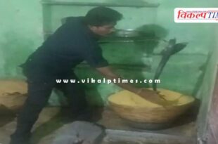 A black cobra came out of the basket while making laddus in kota