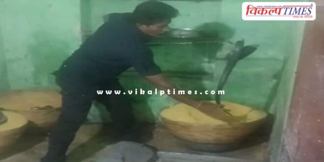 A black cobra came out of the basket while making laddus in kota