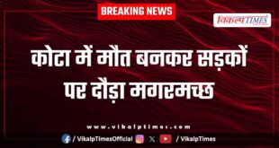 A crocodile ran through the streets of Kota