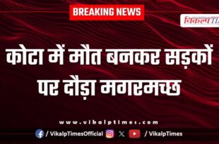 A crocodile ran through the streets of Kota