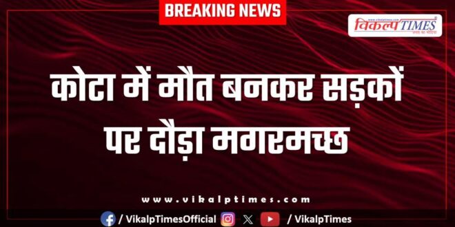 A crocodile ran through the streets of Kota