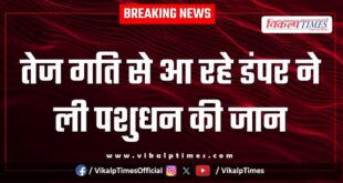 Accident buffalo Animal bonli Sawai madhopur news 05 oct 25