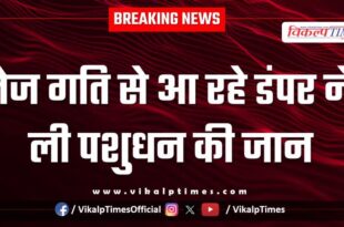 Accident buffalo Animal bonli Sawai madhopur news 05 oct 25