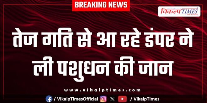 Accident buffalo Animal bonli Sawai madhopur news 05 oct 25