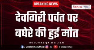 Devgiri hills tiger chauth ka barwara sawai madhopur news 23 Oct 25