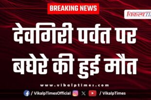 Devgiri hills tiger chauth ka barwara sawai madhopur news 23 Oct 25