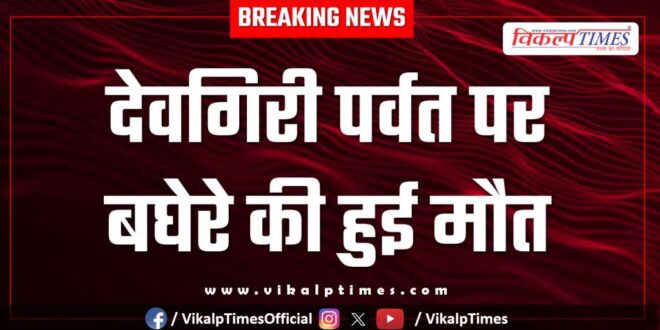 Devgiri hills tiger chauth ka barwara sawai madhopur news 23 Oct 25
