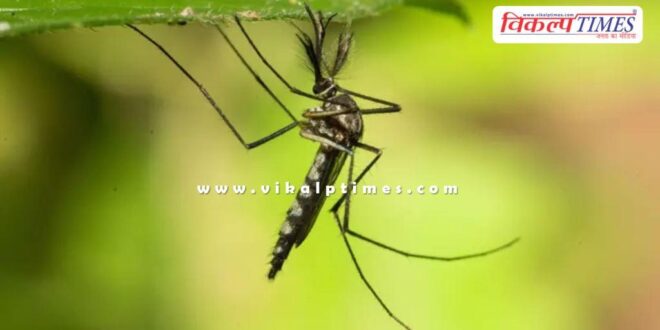 Mosquitoes were seen for the first time in iceland Europe