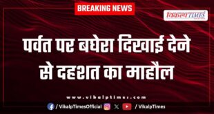 Panic due to the sighting of a tiger on the mountain in chauth ka barwara