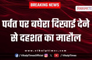 Panic due to the sighting of a tiger on the mountain in chauth ka barwara