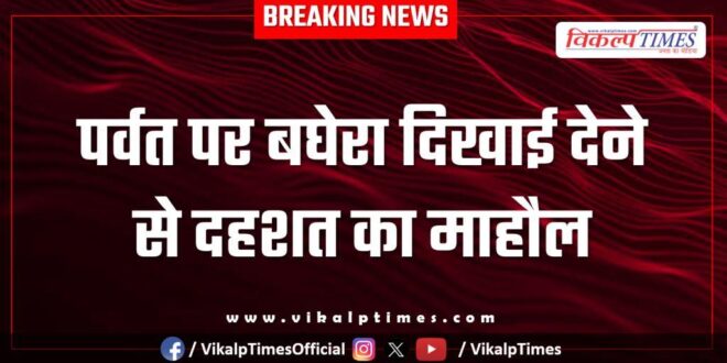 Panic due to the sighting of a tiger on the mountain in chauth ka barwara