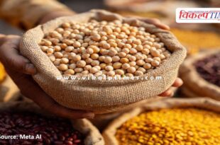 Purchase of pulses and oilseeds at minimum support price in rajasthan