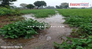 Rain in the last 30 hours has worsened the situation in kota