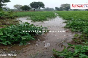 Rain in the last 30 hours has worsened the situation in kota