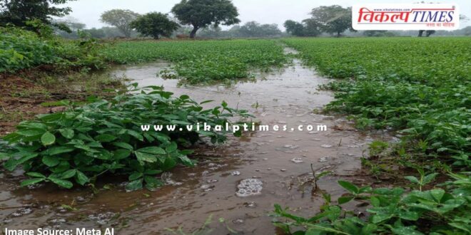 Rain in the last 30 hours has worsened the situation in kota
