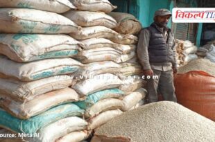Retail fertilizer license of Kanha Seed Store suspended in sawai madhopur