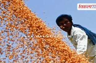The central government increased the MSP of wheat and also provided relief to central employees.