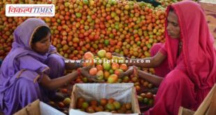 The price of tomatoes in this country has reached Rs 700 per kg.