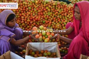 The price of tomatoes in this country has reached Rs 700 per kg.