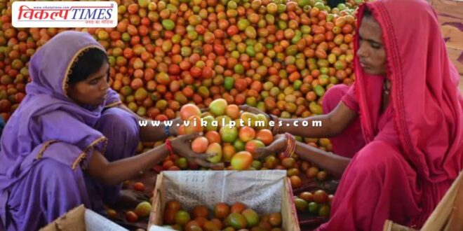 The price of tomatoes in this country has reached Rs 700 per kg.