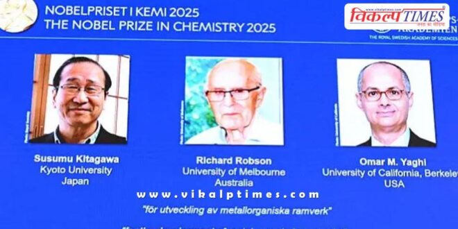 These three scientists received the Nobel Prize in Chemistry.