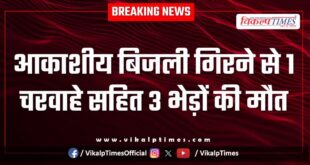 Youth sheep lightning strike bonli Sawai madhopur news 01 Oct 25