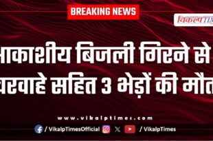 Youth sheep lightning strike bonli Sawai madhopur news 01 Oct 25