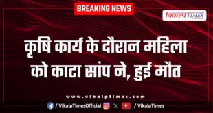 woman farming snake hospital khandar sawai madhopur news 25 Oct 25