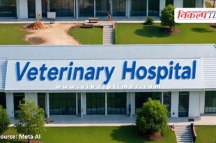 310 new veterinary hospital buildings will be constructed in 38 districts of Rajasthan