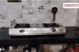 5-feet long black cobra enters kitchen in kota