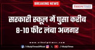 An 8-10 feet long python entered a government school in kota