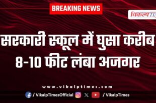 An 8-10 feet long python entered a government school in kota