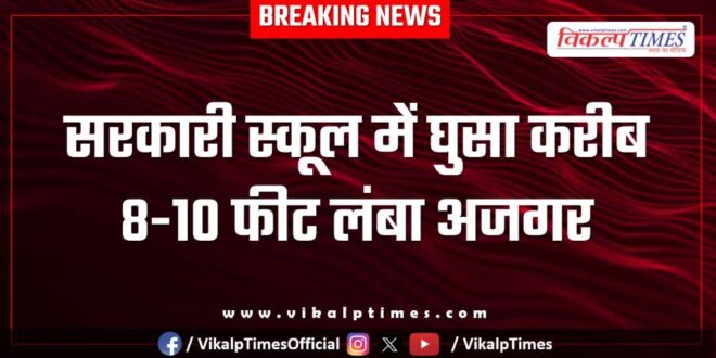 An 8-10 feet long python entered a government school in kota