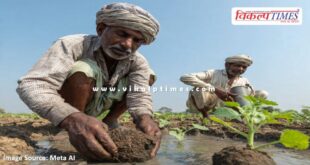 Farmers affected by Kharif crop damage will get relief in rajasthan