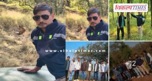 In Ranthambore, rules were flouted as young men took selfies with tigers sitting on the bonnet of a car.